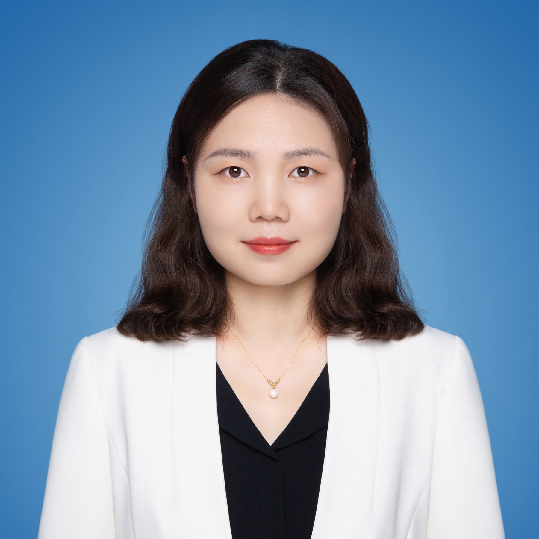 辛杨眉律师
